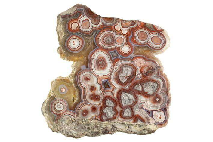 Polished Crazy Lace Agate Section - Mexico #335034